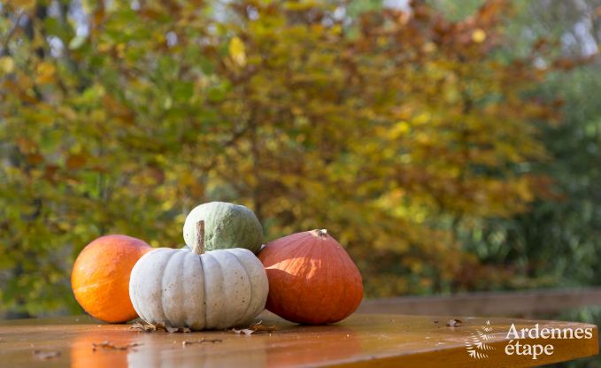 Chalet in Viroinval voor 6 personen in de Ardennen