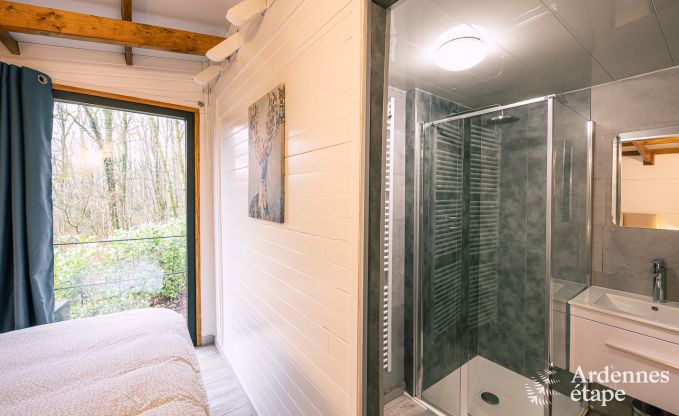 Gezellige houten chalet voor 4 personen in Viroinval