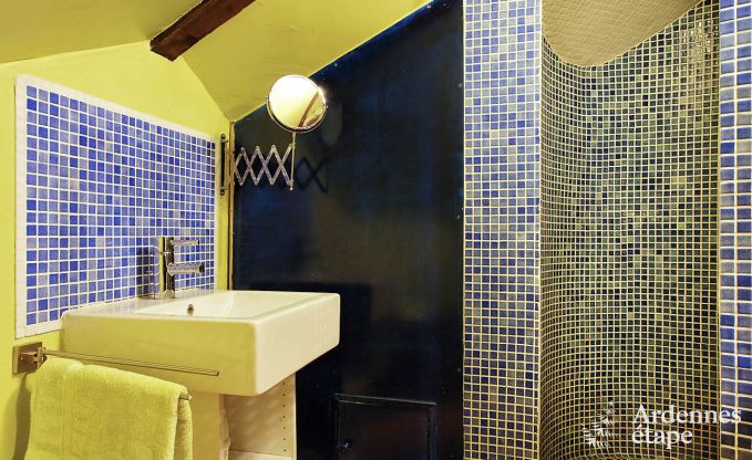 Vakantiehuis in Viroinval voor 15 personen in de Ardennen