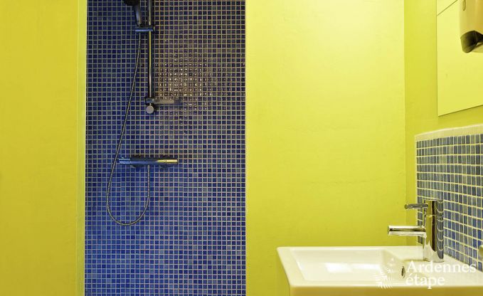 Vakantiehuis in Viroinval voor 15 personen in de Ardennen