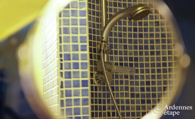 Vakantiehuis in Viroinval voor 15 personen in de Ardennen