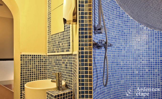 Vakantiehuis in Viroinval voor 15 personen in de Ardennen