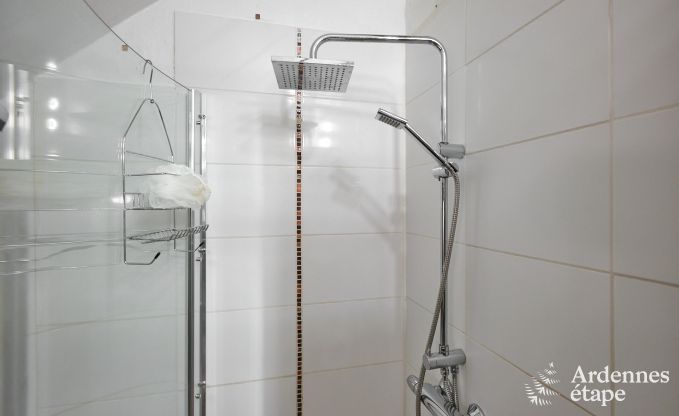 Charmante cottage voor 8 personen in Viroinval: sauna, kachel, bos dichtbij