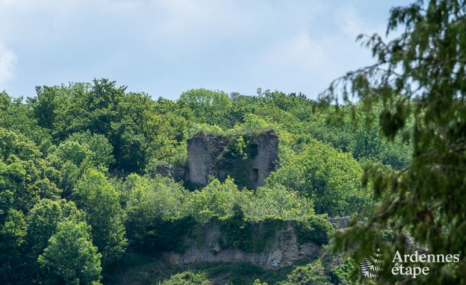 Vakantiehuis in Viroinval voor 8 personen in de Ardennen