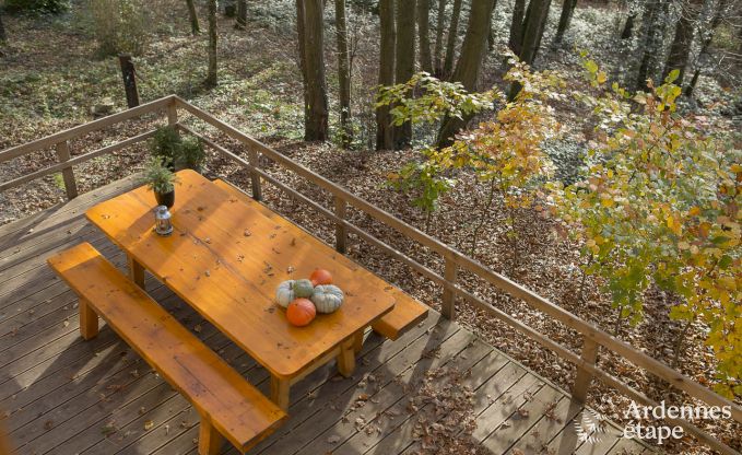 Chalet in Viroinval voor 6 personen in de Ardennen