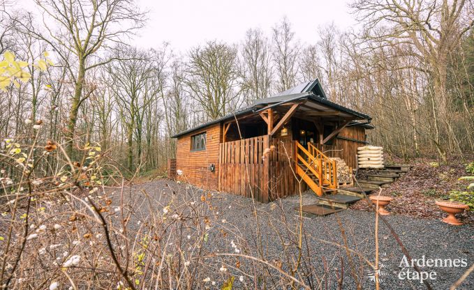 Gezellige houten chalet voor 4 personen in Viroinval