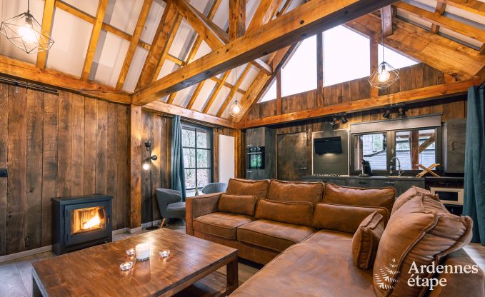 Gezellige houten chalet voor 4 personen in Viroinval