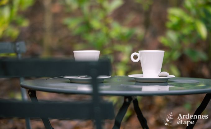 Gezellige houten chalet voor 4 personen in Viroinval