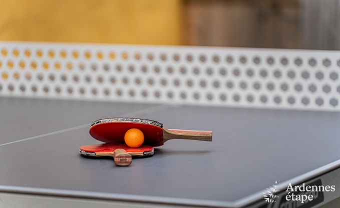 Gezellige groepsaccommodatie voor 17 in Virton, Gaume