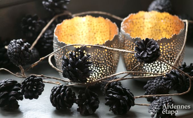 Vakantiehuis in Virton voor 4 personen in de Ardennen