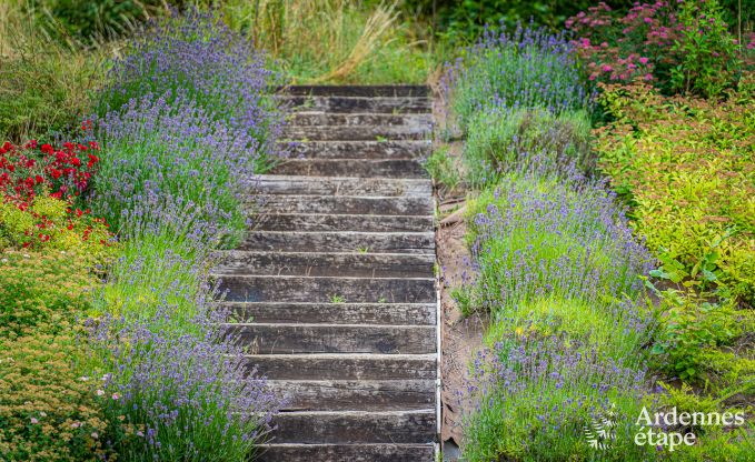 Gezellige groepsaccommodatie voor 17 in Virton, Gaume