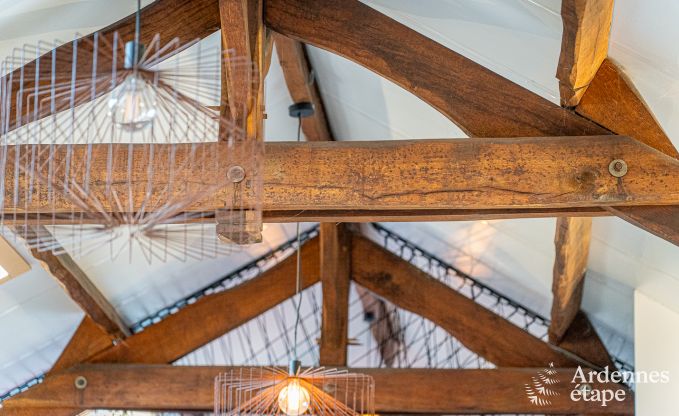 Gezellige groepsaccommodatie voor 17 in Virton, Gaume