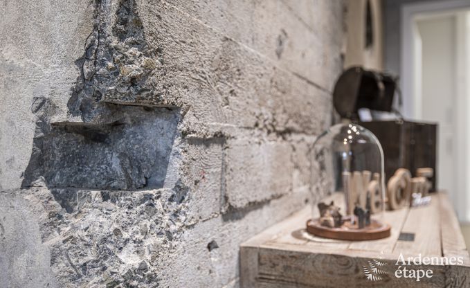 Buitengewoon in Vis� voor 5 personen in de Ardennen