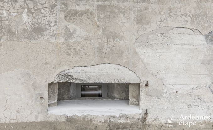 Buitengewoon in Vis� voor 5 personen in de Ardennen