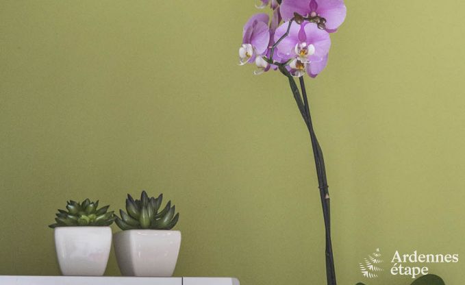 Vakantiehuis in Voeren voor 12 personen in de Ardennen