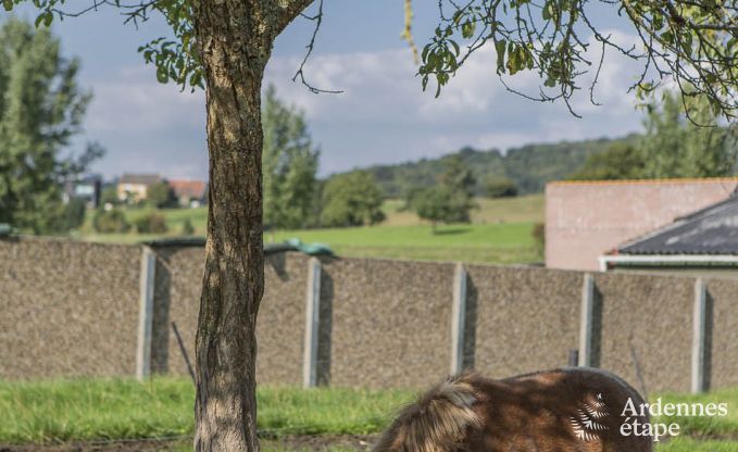 Vakantiehuis in Voeren voor 12 personen in de Ardennen