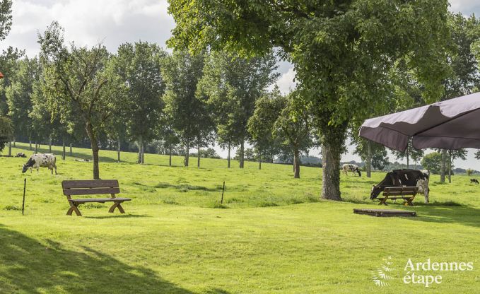 Vakantiehuis in Voeren voor 12 personen in de Ardennen