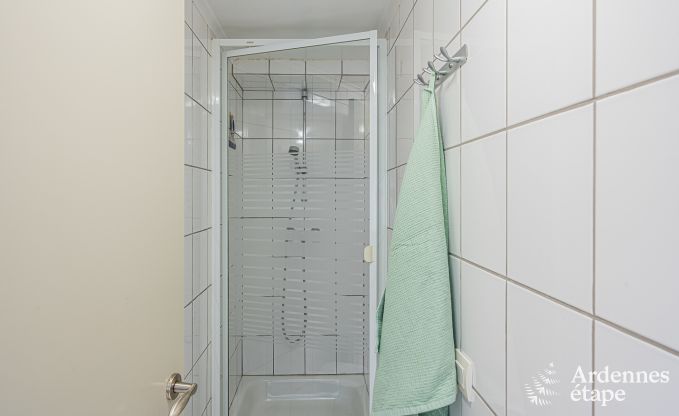 Ruim, hondvriendelijk vakantiehuis in Vresse-Sur-Semois, Ardennen