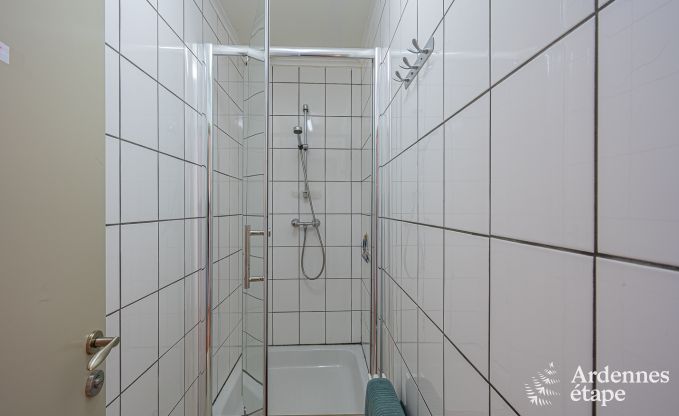 Ruim, hondvriendelijk vakantiehuis in Vresse-Sur-Semois, Ardennen