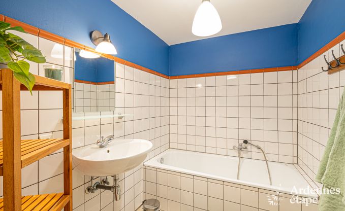 Ruim, hondvriendelijk vakantiehuis in Vresse-Sur-Semois, Ardennen