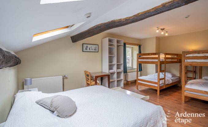 Ruim, hondvriendelijk vakantiehuis in Vresse-Sur-Semois, Ardennen