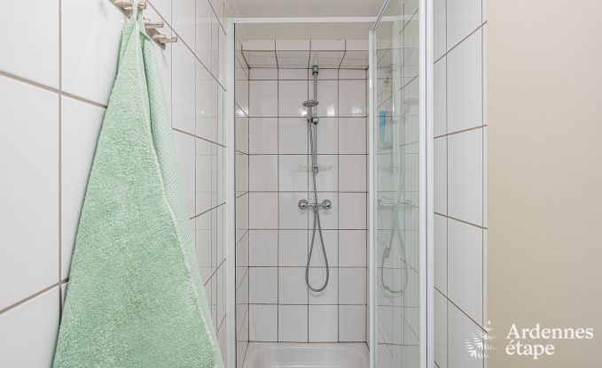 Ruim, hondvriendelijk vakantiehuis in Vresse-Sur-Semois, Ardennen