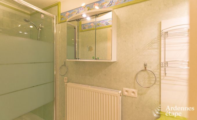 Appartement in Vresse-sur-Semois voor 4 personen in de Ardennen