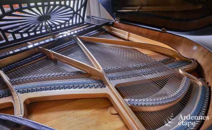 Luxe landhuis m�t verwarmd buitenzwembad in Vresse-sur-Semois voor 15 personen