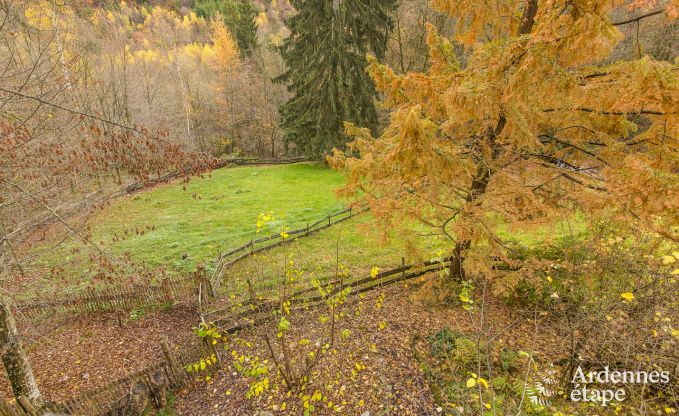 Vakantiehuis in Vresse-sur-Semois voor 9 personen in de Ardennen