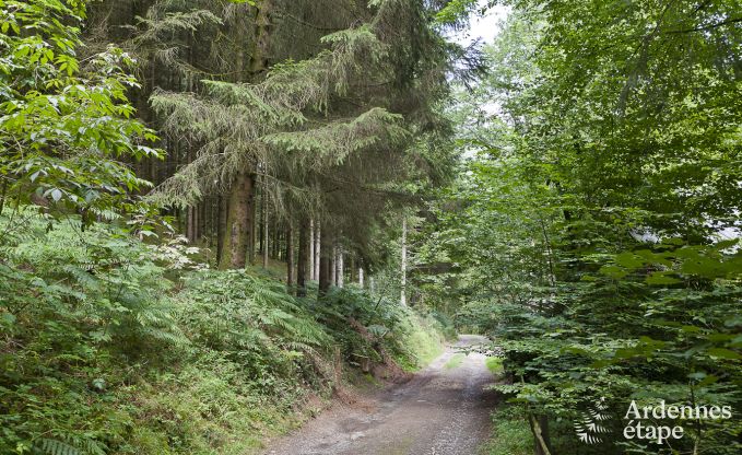 Vakantiehuis in Vresse-sur-Semois voor 9 personen in de Ardennen