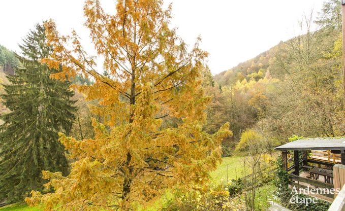 Vakantiehuis in Vresse-sur-Semois voor 9 personen in de Ardennen