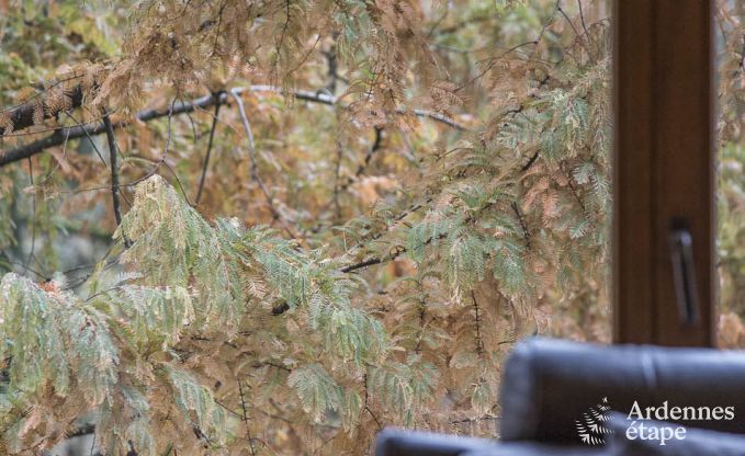 Vakantiehuis in Vresse-sur-Semois voor 9 personen in de Ardennen