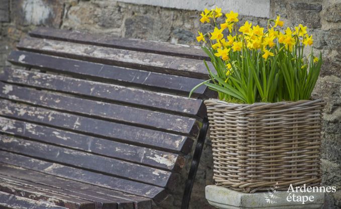 Vakantiehuis in Vresse-sur-Semois voor 13/14 personen in de Ardennen