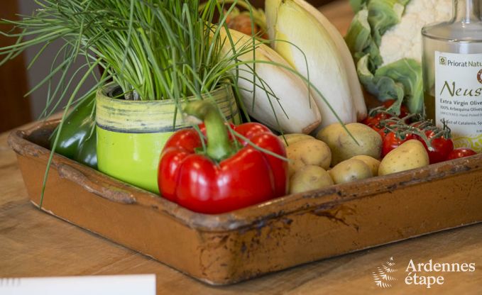 Vakantiehuis in Vresse-sur-Semois voor 13/14 personen in de Ardennen