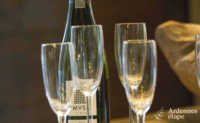 Vakantiehuis in Vresse-sur-Semois voor 9 personen in de Ardennen