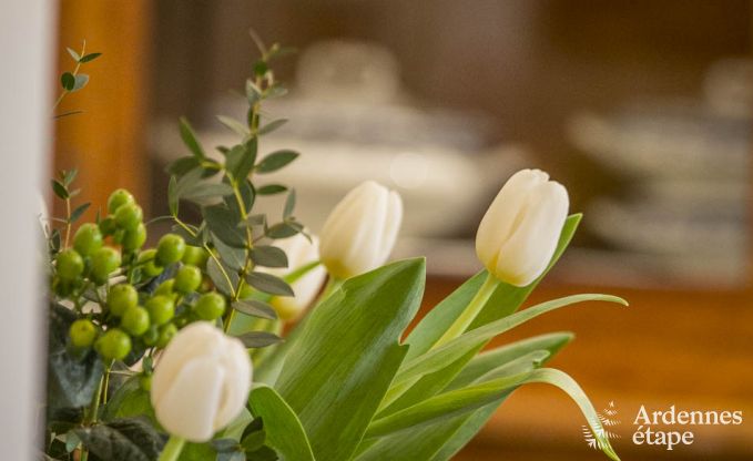 Vakantiehuis in Vresse-sur-Semois voor 13/14 personen in de Ardennen