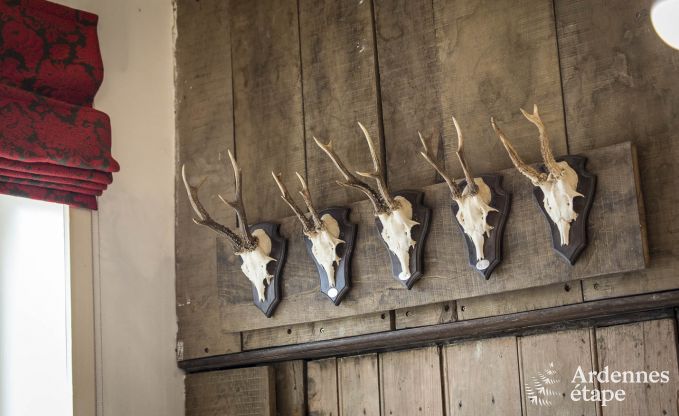 Vakantiehuis in Vresse-sur-Semois voor 13/14 personen in de Ardennen