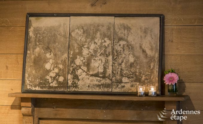 Vakantiehuis in Vresse-sur-Semois voor 13/14 personen in de Ardennen