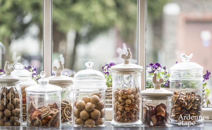 Vakantiehuis in Vresse-sur-Semois voor 13/14 personen in de Ardennen