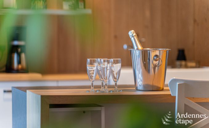 Vakantiehuis in Vresse-sur-Semois voor 14 personen in de Ardennen