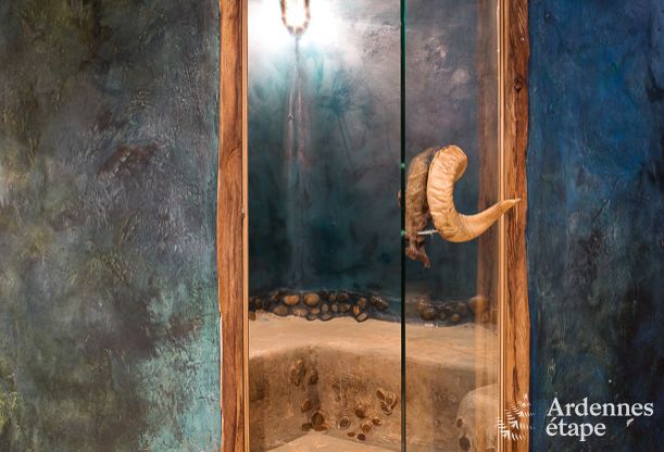 Chalet in Waimes voor 23 personen in de Ardennen