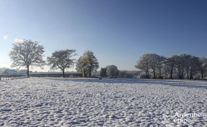 Cottage in Waimes voor 18/20 personen in de Ardennen