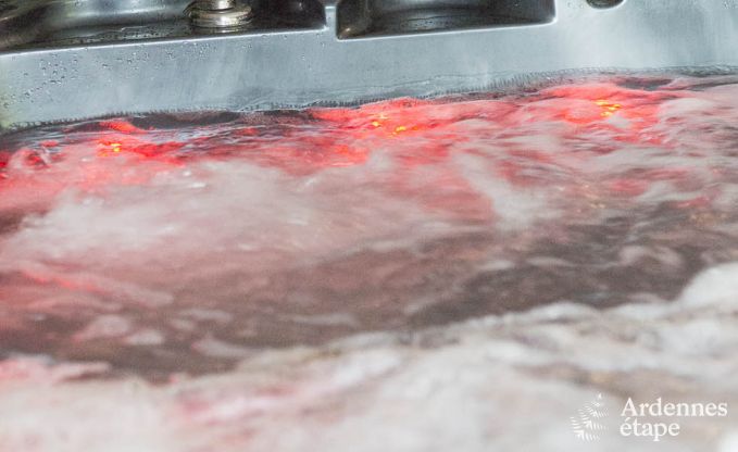 Luxe villa in Waimes voor 14 personen in de Ardennen