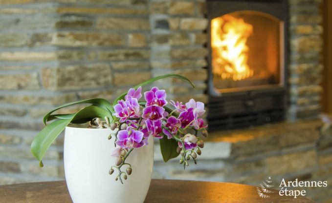 Vakantiehuis in Waimes voor 16/18 personen in de Ardennen