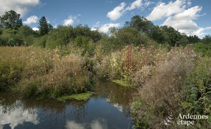 Vakantiehuis in Waimes voor 14 personen in de Ardennen
