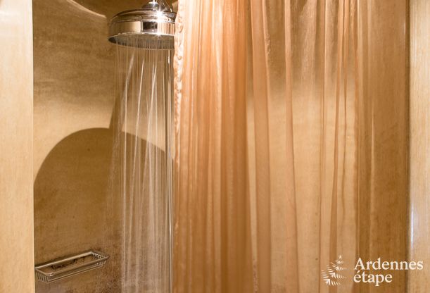 Chalet in Waimes voor 14 personen in de Ardennen