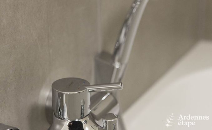 Vakantiehuis in Waimes voor 10 personen in de Ardennen