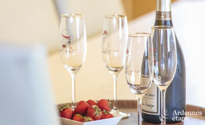 Vakantiehuis in Waimes voor 15 personen in de Ardennen