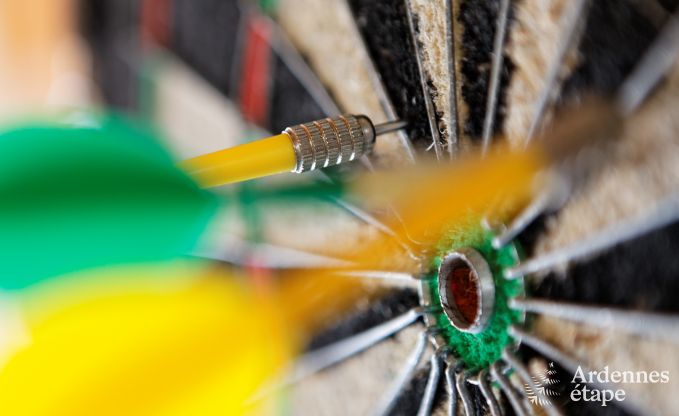 Vakantiehuis in Waimes voor 12 personen in de Ardennen