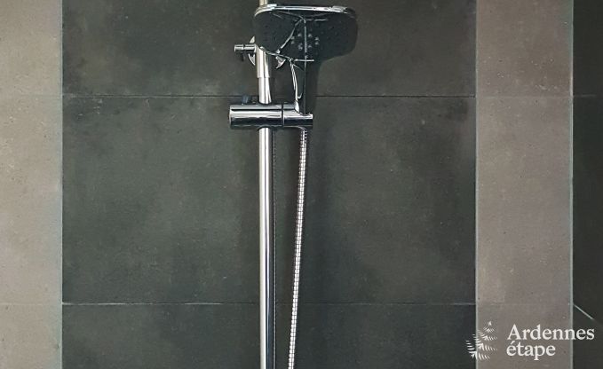 Vakantiehuis in Waimes voor 9 personen in de Ardennen